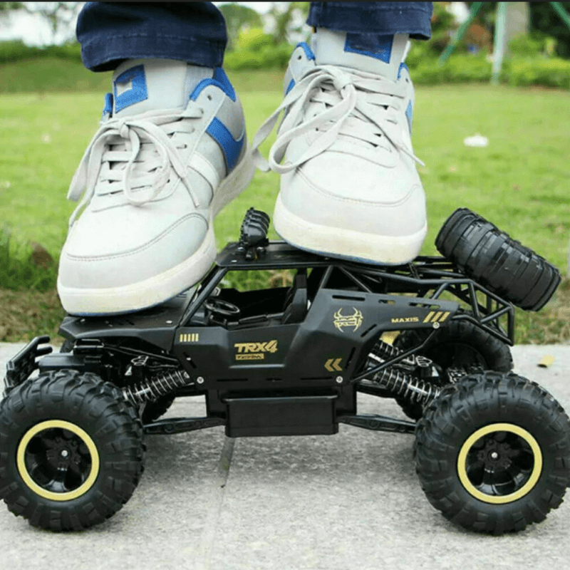 RC Truck – Multi-Terrain, 2.4GHz, 1:12 Scale