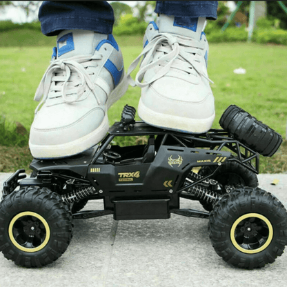 RC Truck – Multi-Terrain, 2.4GHz, 1:12 Scale